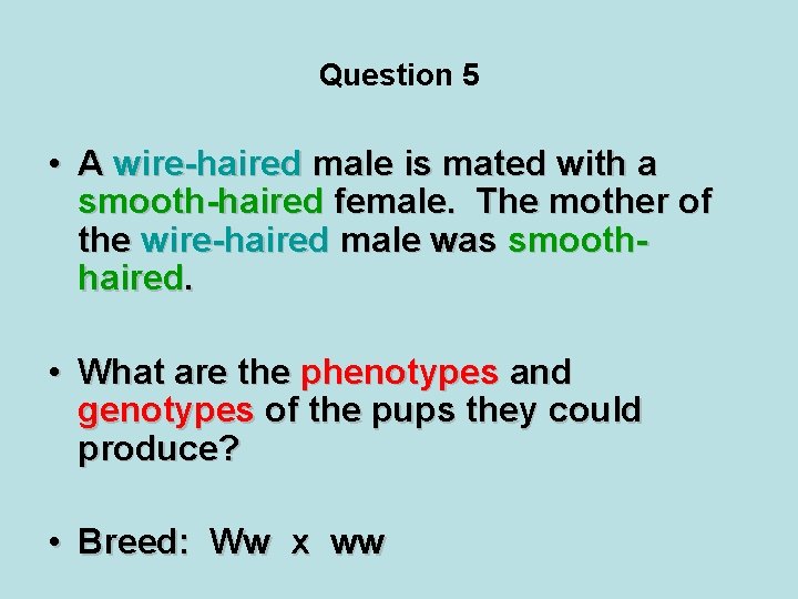 Question 5 • A wire-haired male is mated with a smooth-haired female. The mother