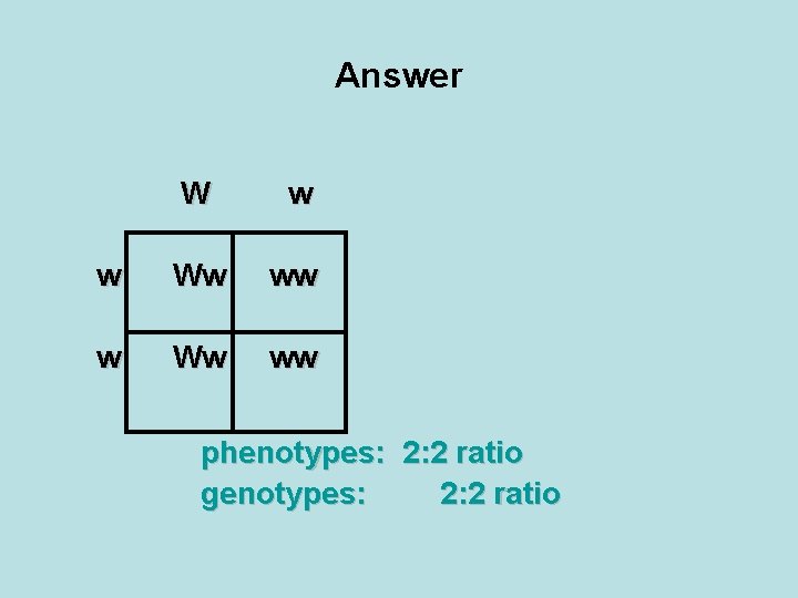 Answer W w w Ww ww phenotypes: 2: 2 ratio genotypes: 2: 2 ratio