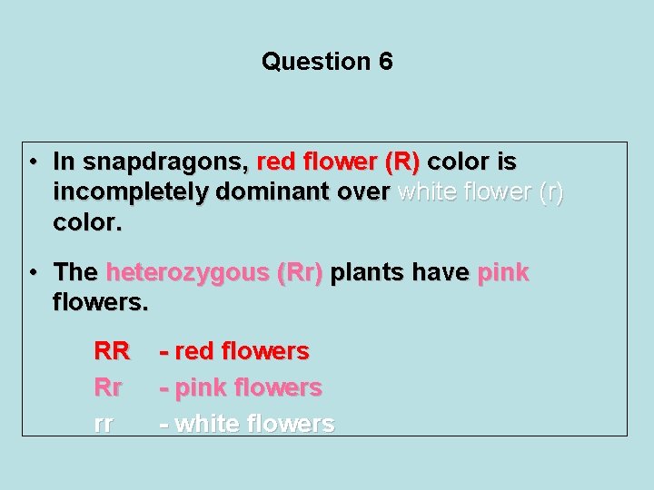 Question 6 • In snapdragons, red flower (R) color is incompletely dominant over white