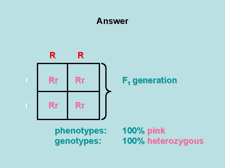 Answer R R r Rr Rr phenotypes: genotypes: F 1 generation 100% pink 100%