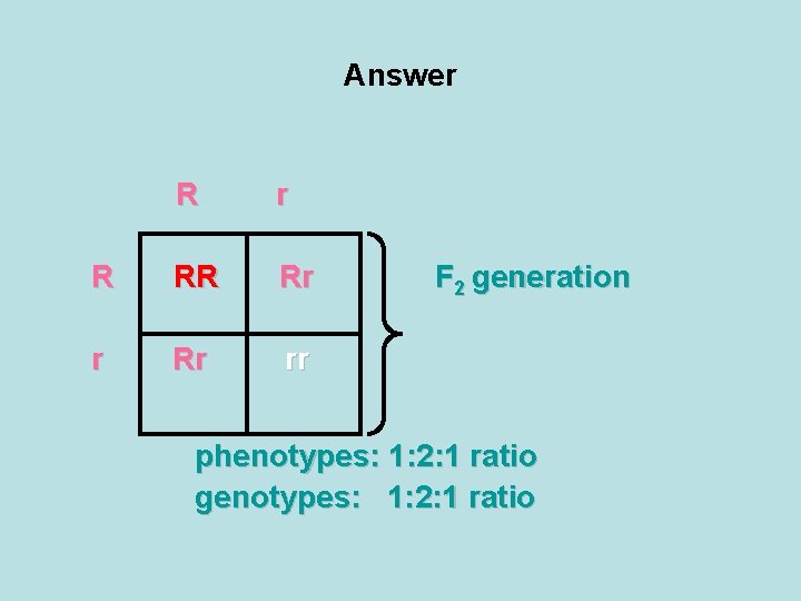 Answer R RR Rr rr F 2 generation phenotypes: 1: 2: 1 ratio genotypes: