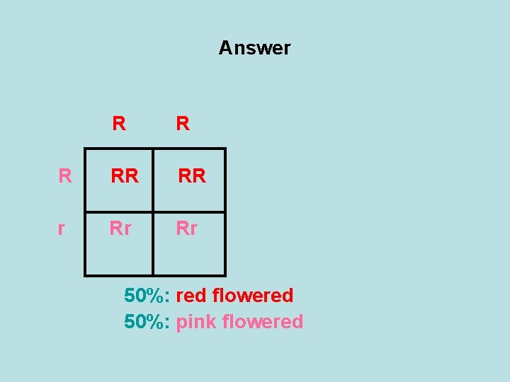 Answer R RR RR r Rr Rr 50%: red flowered 50%: pink flowered 