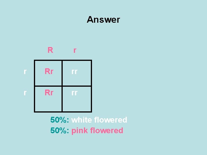 Answer R r r Rr rr 50%: white flowered 50%: pink flowered 