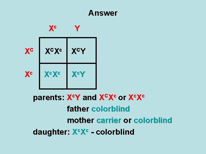 Answer Xc Y XC X CX c X CY Xc X c. Y parents: