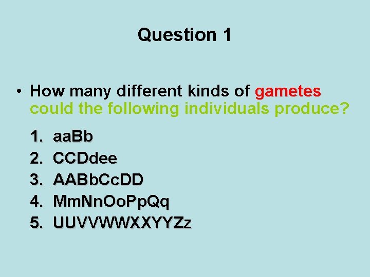 Question 1 • How many different kinds of gametes could the following individuals produce?