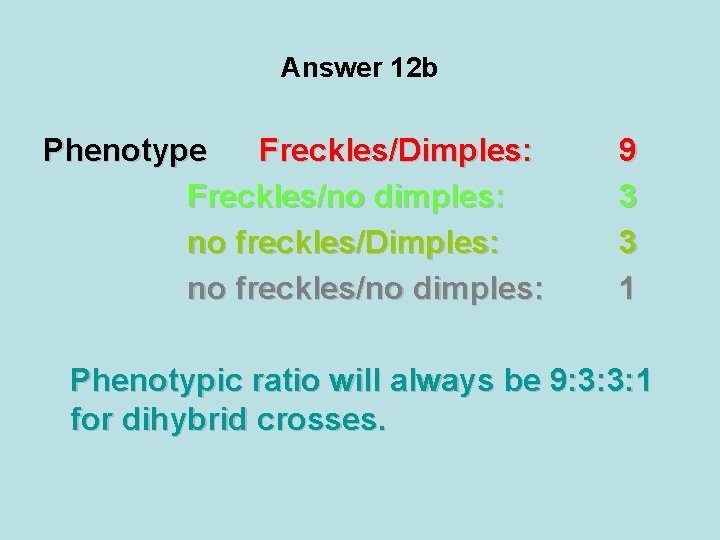 Answer 12 b Phenotype Freckles/Dimples: Freckles/no dimples: no freckles/Dimples: no freckles/no dimples: 9 3