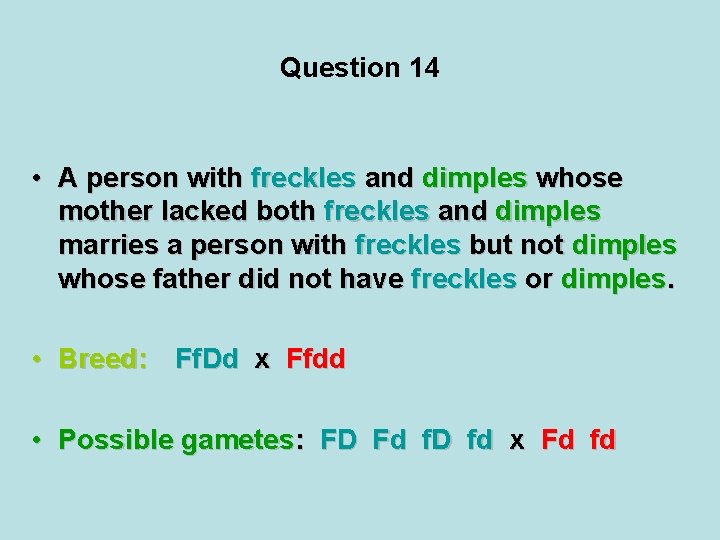 Question 14 • A person with freckles and dimples whose mother lacked both freckles