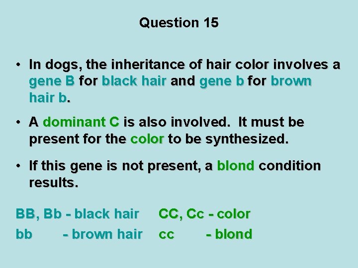 Question 15 • In dogs, the inheritance of hair color involves a gene B