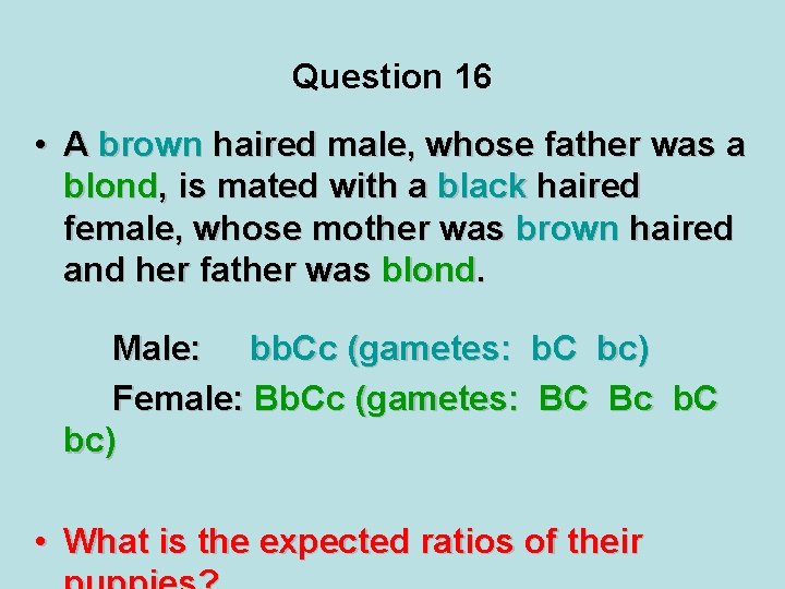 Question 16 • A brown haired male, whose father was a blond, is mated