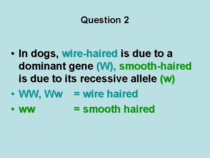 Question 2 • In dogs, wire-haired is due to a dominant gene (W), smooth-haired