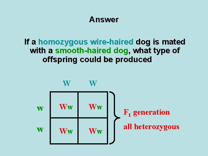 Answer If a homozygous wire-haired dog is mated with a smooth-haired dog, what type