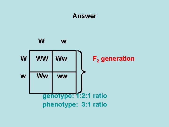 Answer W w W WW Ww ww F 2 generation genotype: 1: 2: 1