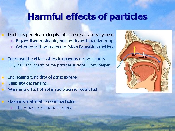Harmful effects of particles n n Particles penetrate deeply into the respiratory system: n