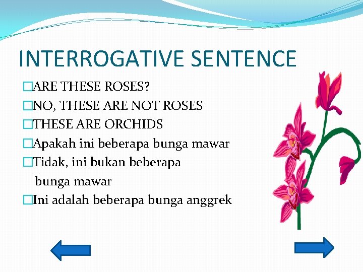 INTERROGATIVE SENTENCE �ARE THESE ROSES? �NO, THESE ARE NOT ROSES �THESE ARE ORCHIDS �Apakah