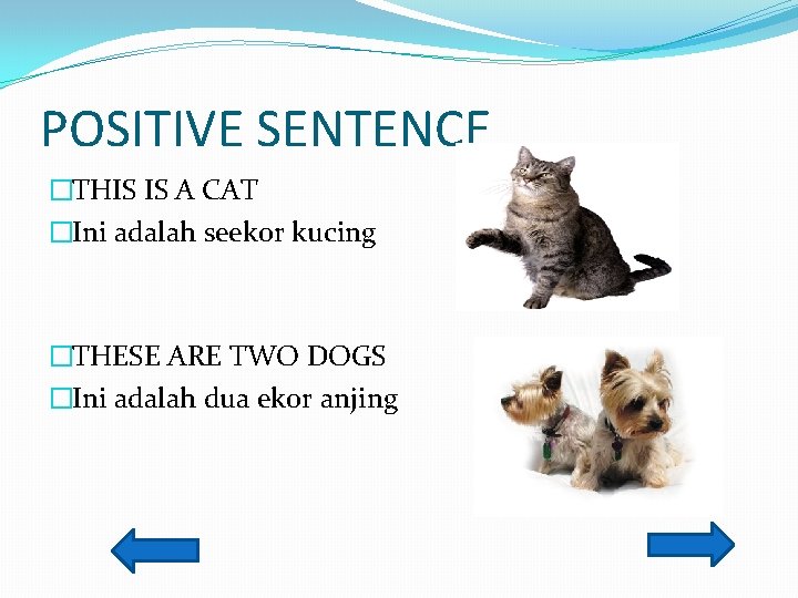 POSITIVE SENTENCE �THIS IS A CAT �Ini adalah seekor kucing �THESE ARE TWO DOGS