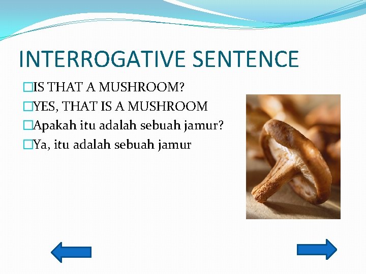 INTERROGATIVE SENTENCE �IS THAT A MUSHROOM? �YES, THAT IS A MUSHROOM �Apakah itu adalah