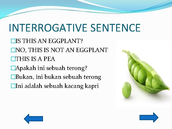 INTERROGATIVE SENTENCE �IS THIS AN EGGPLANT? �NO, THIS IS NOT AN EGGPLANT �THIS IS