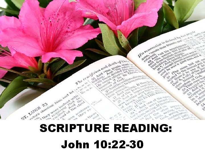 SCRIPTURE READING: John 10: 22 -30 
