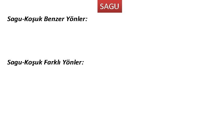 SAGU Sagu-Koşuk Benzer Yönler: Sagu-Koşuk Farklı Yönler: 