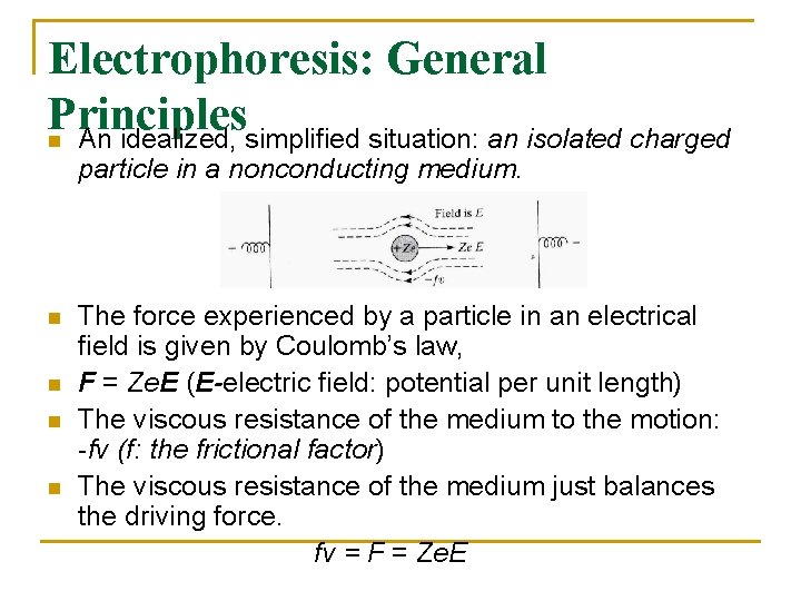 Electrophoresis: General Principles An idealized, simplified situation: an isolated charged n particle in a