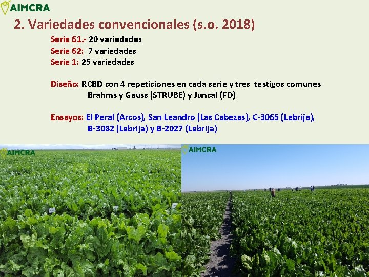 2. Variedades convencionales (s. o. 2018) Serie 61. - 20 variedades Serie 62: 7