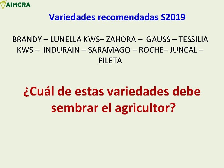 Variedades recomendadas S 2019 BRANDY – LUNELLA KWS– ZAHORA – GAUSS – TESSILIA KWS