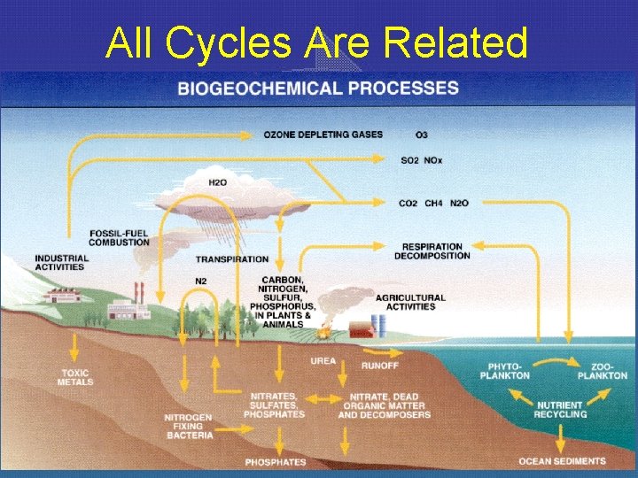 All Cycles Are Related 