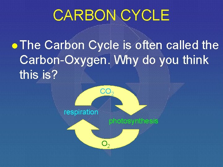 CARBON CYCLE l The Carbon Cycle is often called the Carbon-Oxygen. Why do you