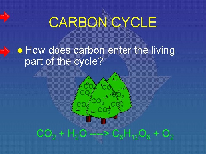 CARBON CYCLE l How does carbon enter the living part of the cycle? CO