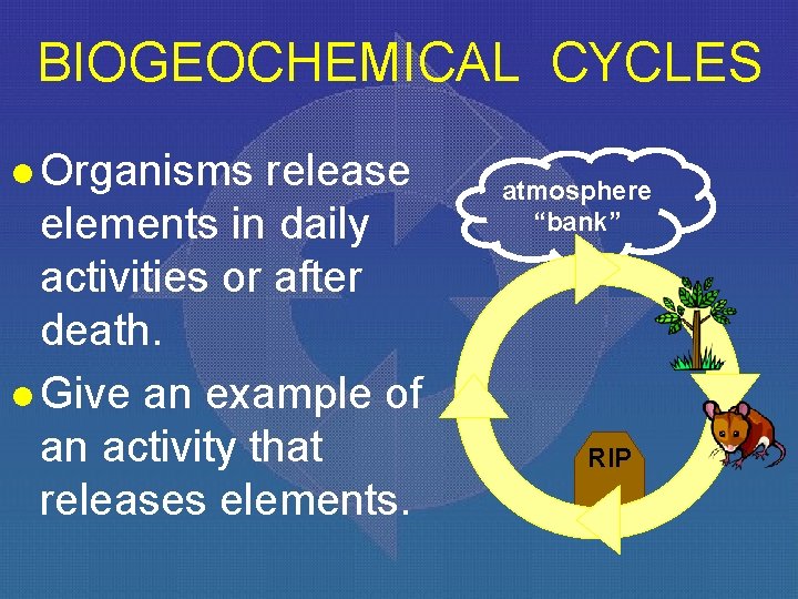 BIOGEOCHEMICAL CYCLES l Organisms release elements in daily activities or after death. l Give