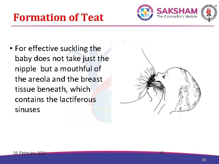 Formation of Teat • For effective suckling the baby does not take just the