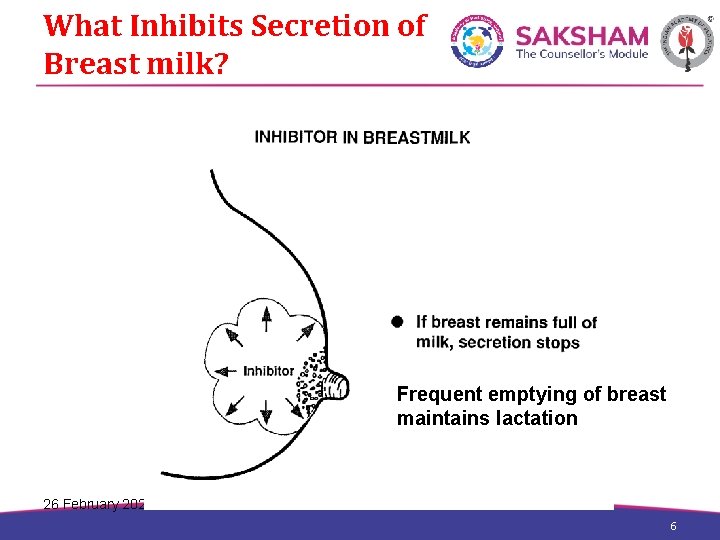 What Inhibits Secretion of Breast milk? Frequent emptying of breast maintains lactation 26 February