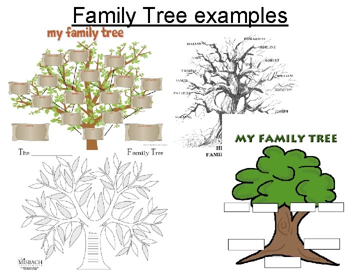 Family Tree examples 