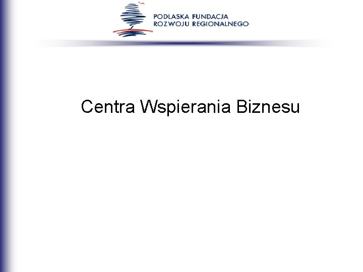 Centra Wspierania Biznesu 