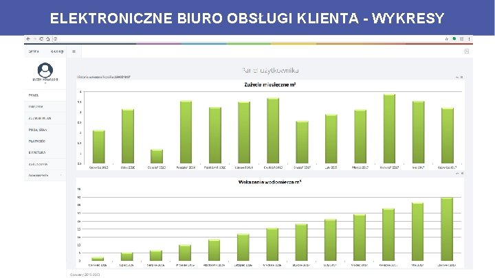 ELEKTRONICZNE BIURO OBSŁUGI KLIENTA - WYKRESY 