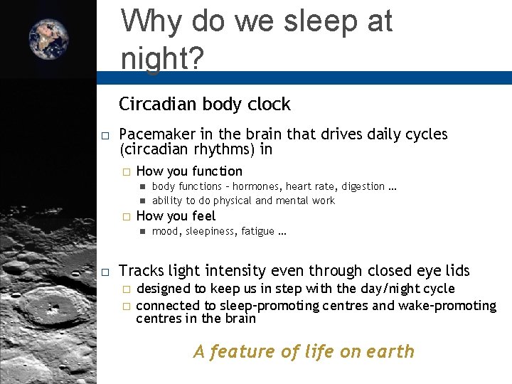 Why do we sleep at night? Circadian body clock Pacemaker in the brain that