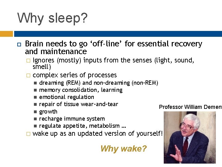 Why sleep? Brain needs to go ‘off-line’ for essential recovery and maintenance Ignores (mostly)