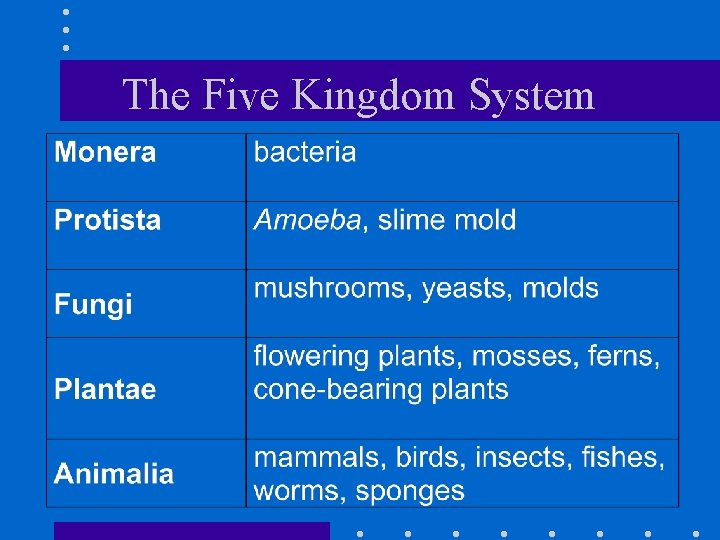 The Five Kingdom System 