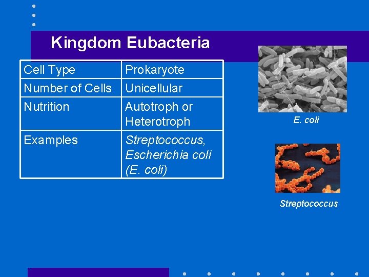 Kingdom Eubacteria Cell Type Number of Cells Nutrition Examples Prokaryote Unicellular Autotroph or Heterotroph