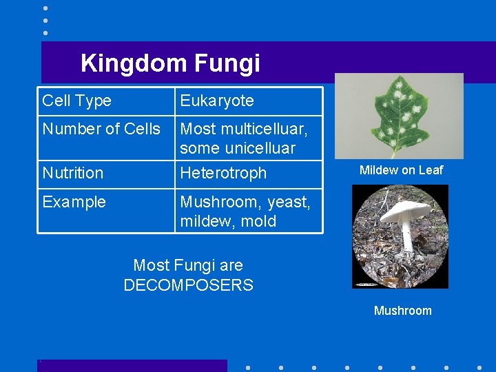 Kingdom Fungi Cell Type Eukaryote Number of Cells Most multicelluar, some unicelluar Heterotroph Nutrition