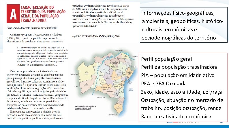 Informações físico-geográficas, ambientais, geopolíticas, históricoculturais, econômicas e sociodemográficas do território Perfil população geral Perfil