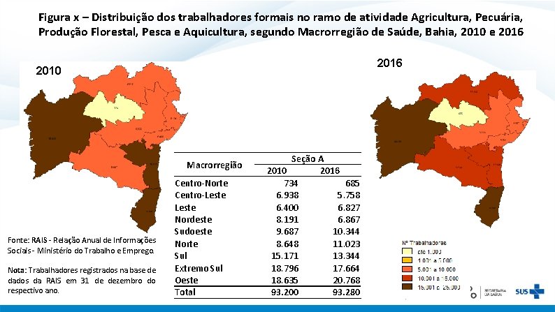 Figura x – Distribuição dos trabalhadores formais no ramo de atividade Agricultura, Pecuária, Produção