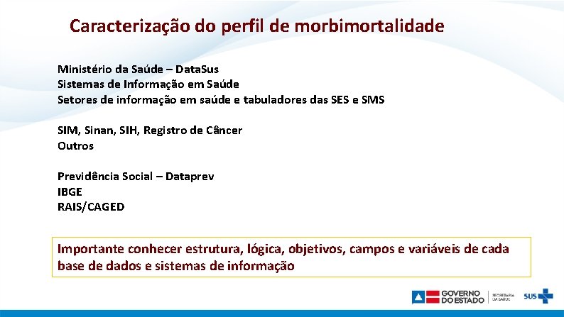 Caracterização do perfil de morbimortalidade Ministério da Saúde – Data. Sus Sistemas de Informação