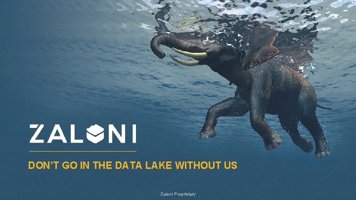 DON’T GO IN THE DATA LAKE WITHOUT US Zaloni Proprietary 