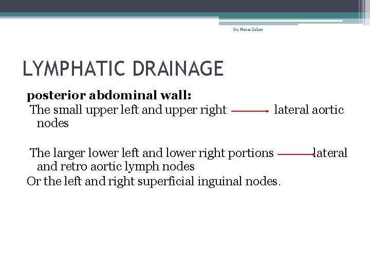 Dr. Maria Zahiri LYMPHATIC DRAINAGE posterior abdominal wall: The small upper left and upper
