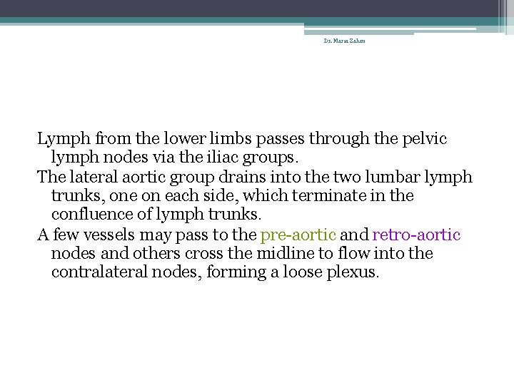 Dr. Maria Zahiri Lymph from the lower limbs passes through the pelvic lymph nodes