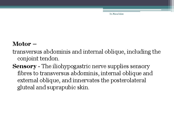 Dr. Maria Zahiri Motor – transversus abdominis and internal oblique, including the conjoint tendon.