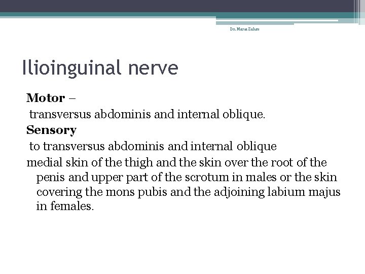 Dr. Maria Zahiri Ilioinguinal nerve Motor – transversus abdominis and internal oblique. Sensory to