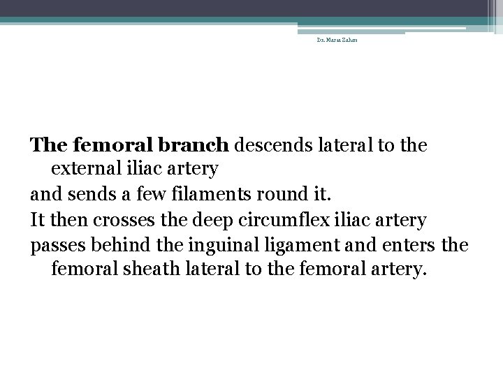 Dr. Maria Zahiri The femoral branch descends lateral to the external iliac artery and