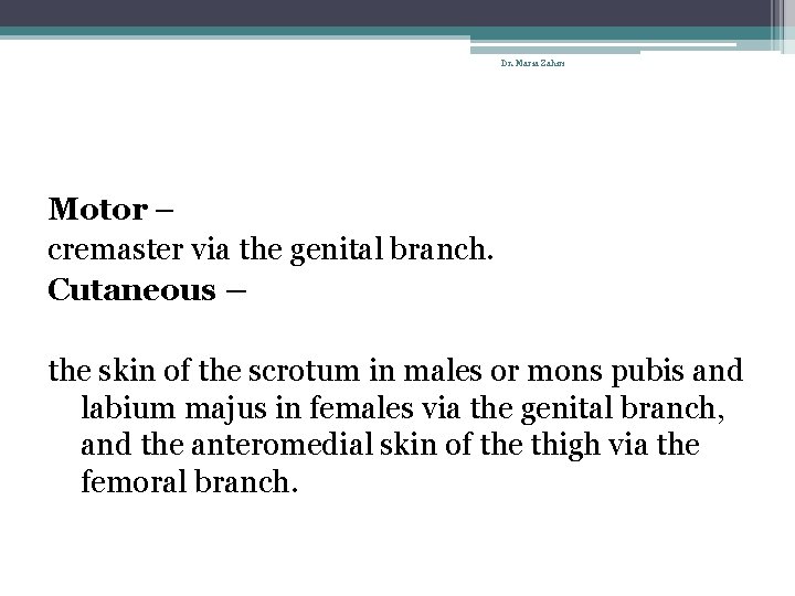 Dr. Maria Zahiri Motor – cremaster via the genital branch. Cutaneous – the skin
